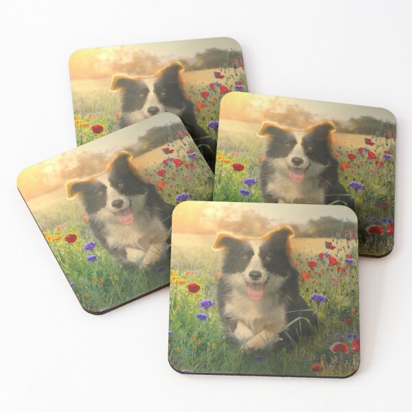 Item preview, Resting Border Collie designed and sold by Alisonchambers2.
