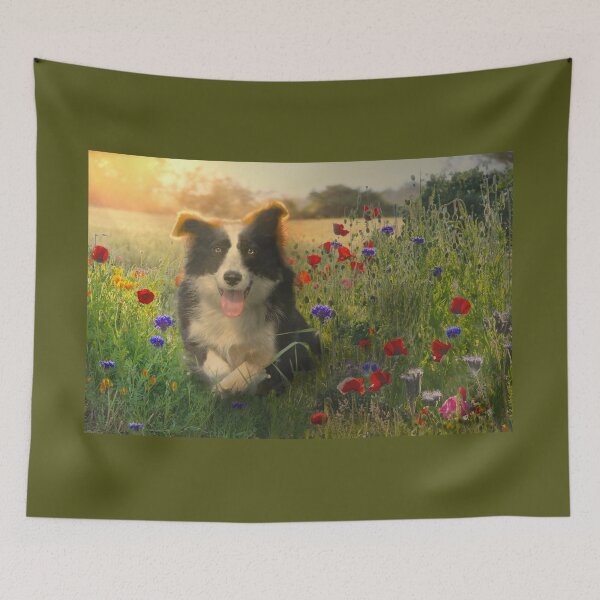 Item preview, Resting Border Collie designed and sold by Alisonchambers2.