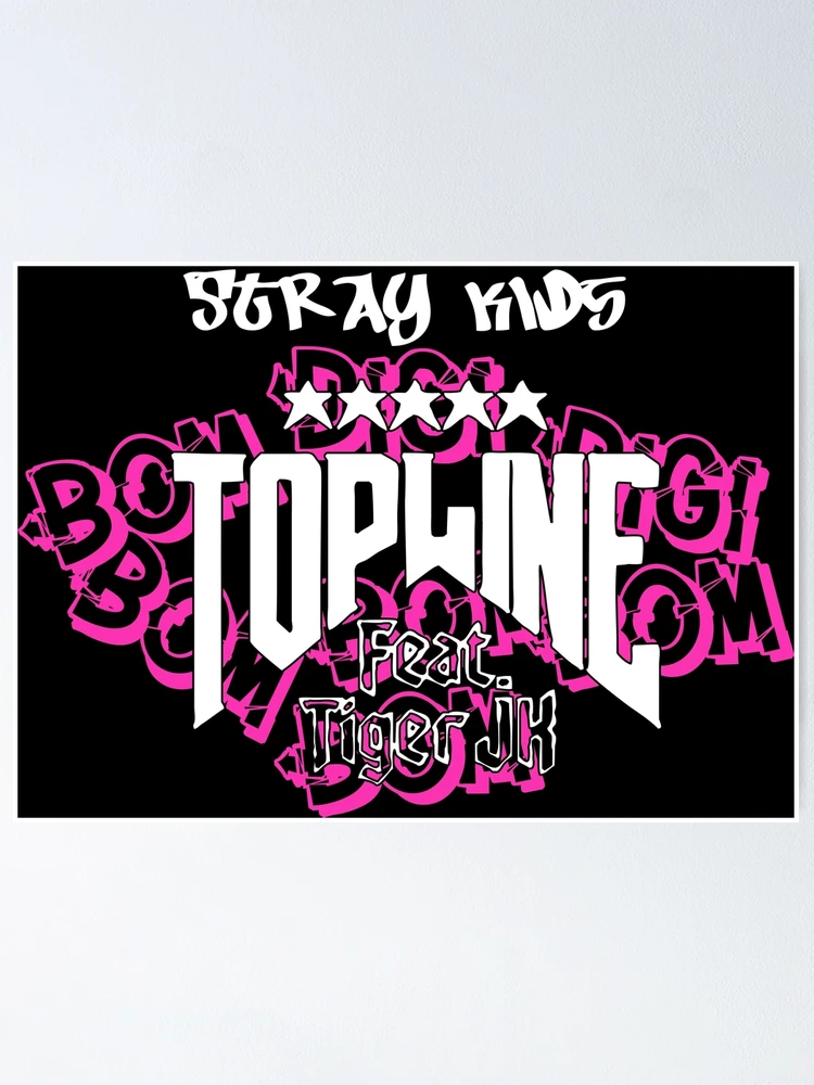 StrayKids パンフレット SLBS on X: 