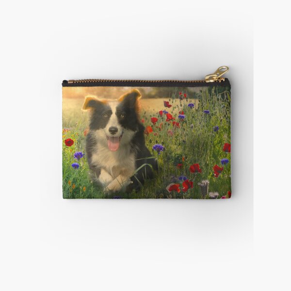 Item preview, Resting Border Collie designed and sold by Alisonchambers2.