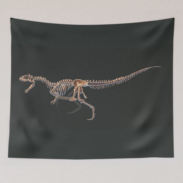 Item preview, Allosaurus Fragilis Skeleton Study (No Labels) designed and sold by Thedragonofdoom.