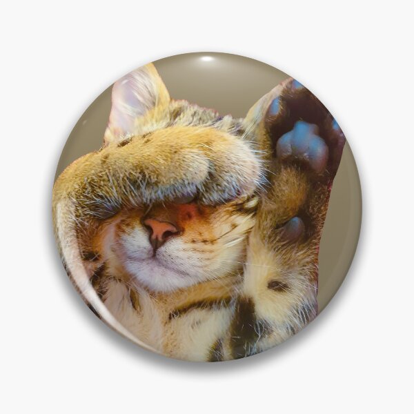 Item preview, No Photos! designed and sold by Dalyndigital Photography.