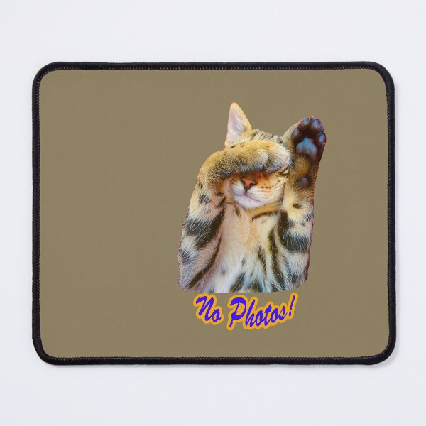 Item preview, No Photos! designed and sold by Dalyndigital Photography.