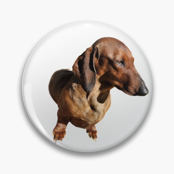 Item preview, Noble weiner dog designed and sold by AbsurdExotics.