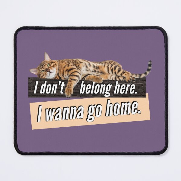 Item preview, I dont belong here. I wanna go home - Funny Cat Sayings designed and sold by Quotes Gallery.