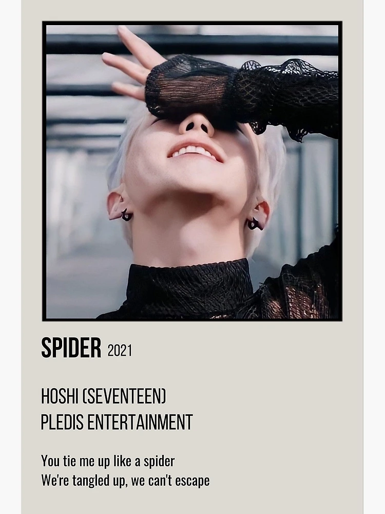 SEVENTEEN ホシ spider HOSHI postersetBversion