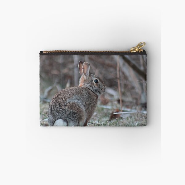 Item preview, Cottontail bunny designed and sold by Linda Crockett.