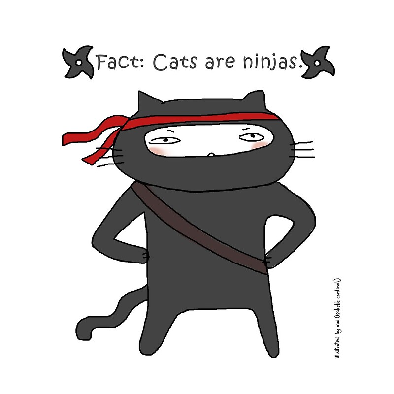 Кот ниндзя рисунок