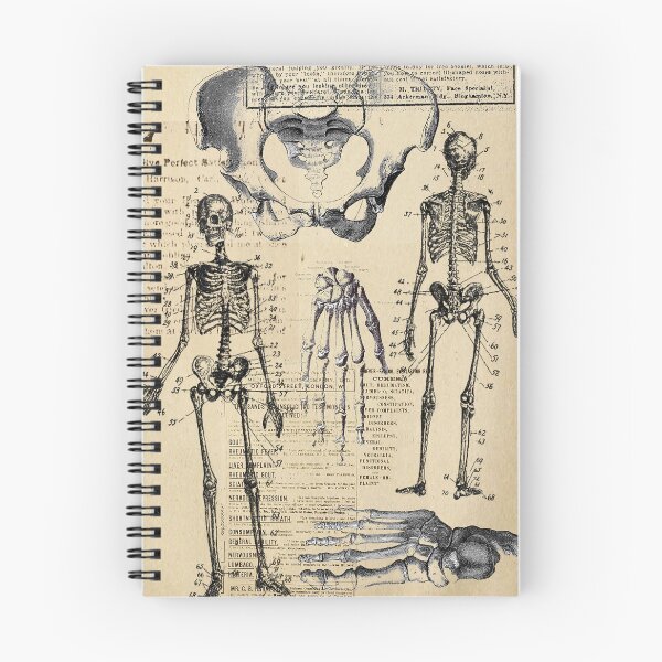 Item preview, vintage anatomy poster  designed and sold by Nadiaking.