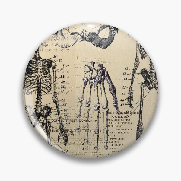 Item preview, vintage anatomy poster  designed and sold by Nadiaking.