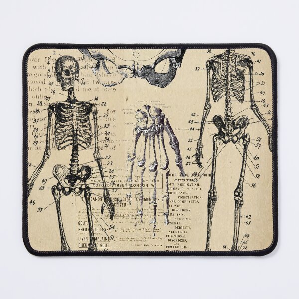 Item preview, vintage anatomy poster designed and sold by Nadiaking.