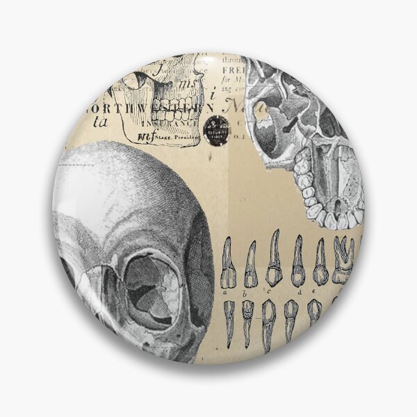 Item preview, vintage anatomy poster  designed and sold by Nadiaking.