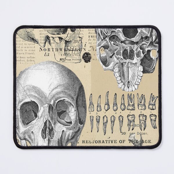 Item preview, vintage anatomy poster  designed and sold by Nadiaking.