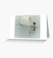 THE ROYALS LIKE SWANNING AROUND..! Greeting Card