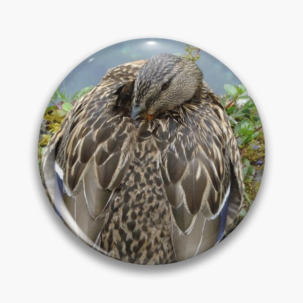 Item preview, Female Mallard designed and sold by pinkal.