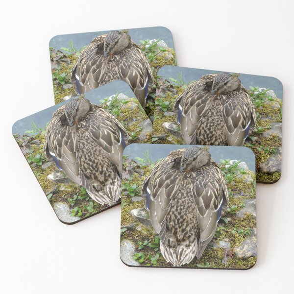 Item preview, Female Mallard designed and sold by pinkal.