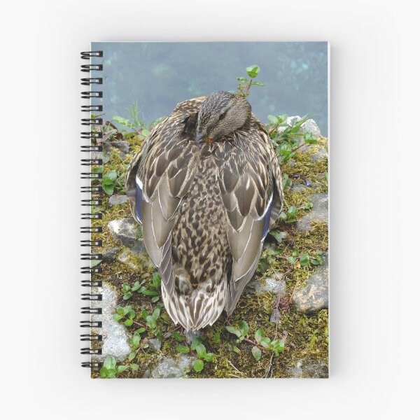 Item preview, Female Mallard designed and sold by pinkal.