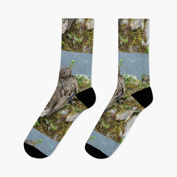Item preview, Female Mallard designed and sold by pinkal.