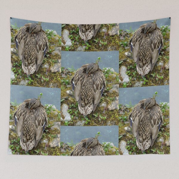 Item preview, Female Mallard designed and sold by pinkal.