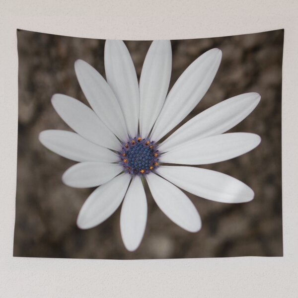 Item preview, Floral Charm designed and sold by Jacquiamber.