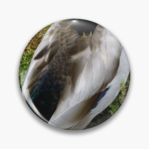 Item preview, Male Mallard designed and sold by pinkal.