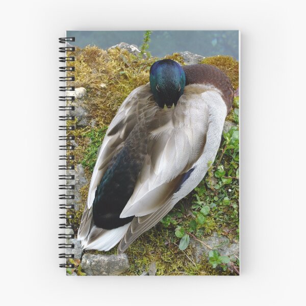 Item preview, Male Mallard designed and sold by pinkal.