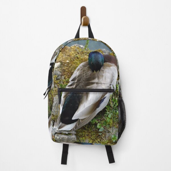 Item preview, Male Mallard designed and sold by pinkal.