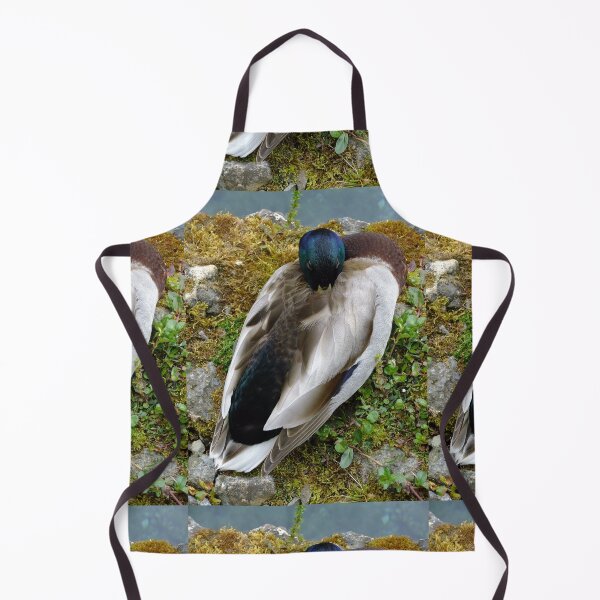Item preview, Male Mallard designed and sold by pinkal.