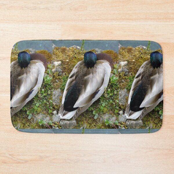 Item preview, Male Mallard designed and sold by pinkal.