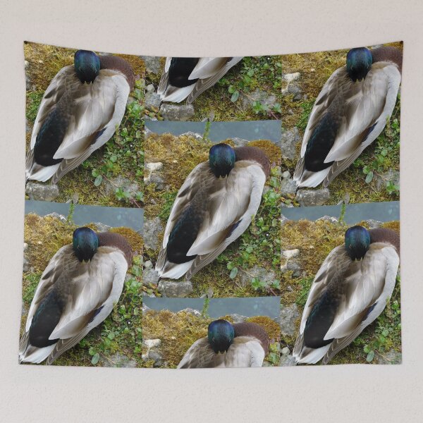 Item preview, Male Mallard designed and sold by pinkal.
