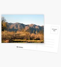 wHITE TANKS Postcards