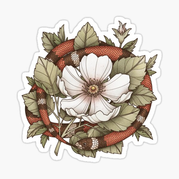 Ouroboros-Schlange mit rauer Flaumrose Sticker
