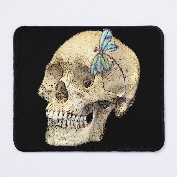 Item preview, Skull & Dragonfly designed and sold by lyndseyart.