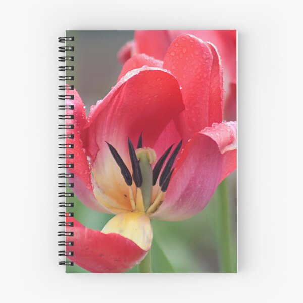 Item preview, Peek inside designed and sold by Linda Crockett.
