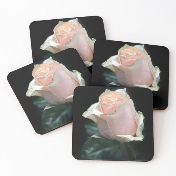 Item preview, Pink rose on black background designed and sold by olena2552.