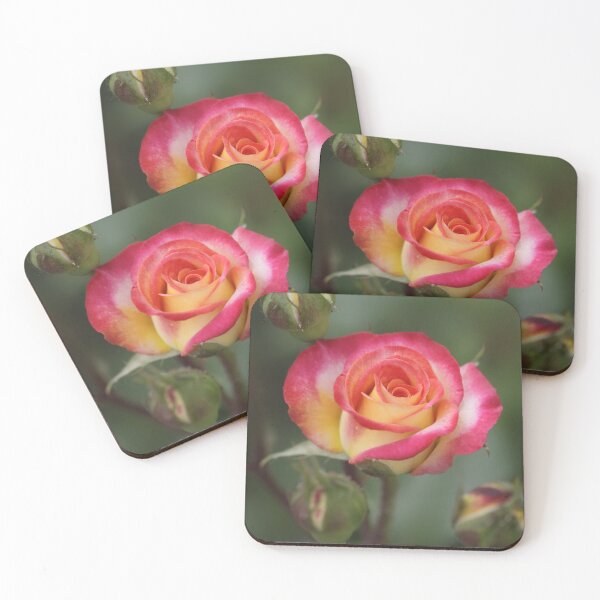 Item preview, Pink rose on nature background designed and sold by olena2552.