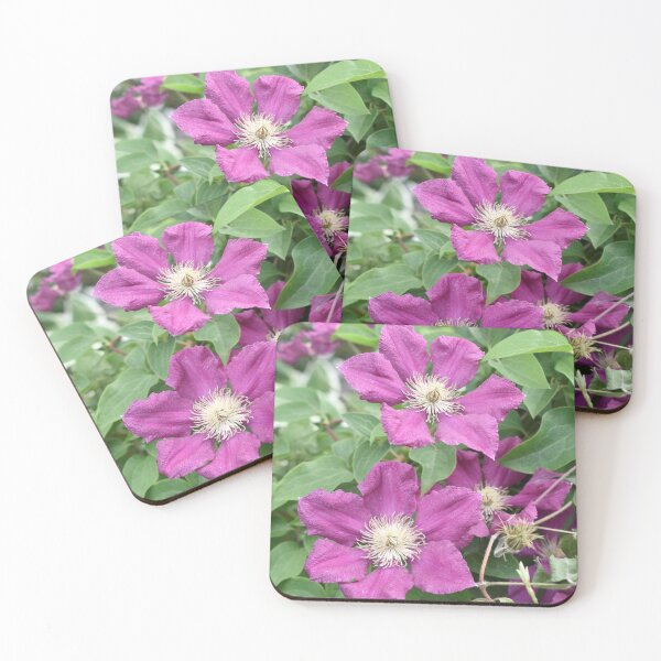 Item preview, Red-Violet Clematis designed and sold by Kathleen Brant.