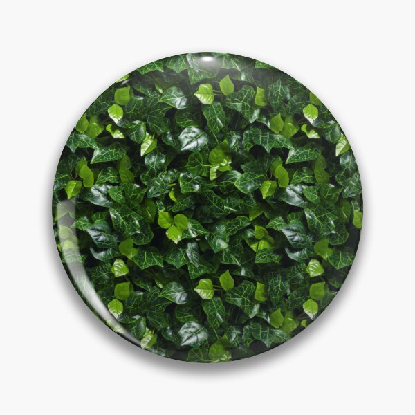 Item preview, Hedera Helix Diversity: Vibrant Ivy Medley - Maixibilionoxis Vertical Garden Collection designed and sold by Maixibilionoxis.