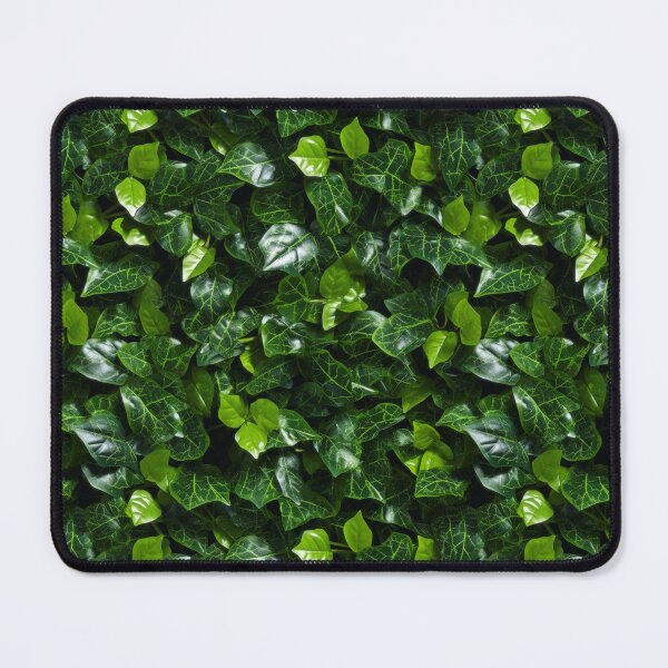 Item preview, Hedera Helix Diversity: Vibrant Ivy Medley - Maixibilionoxis Vertical Garden Collection designed and sold by Maixibilionoxis.