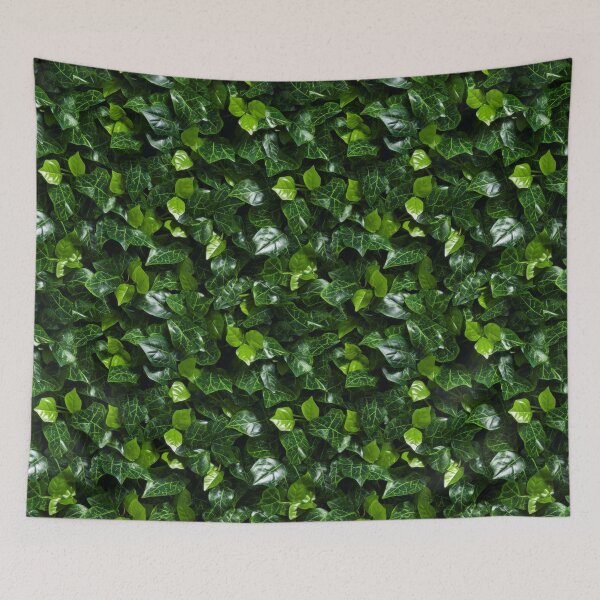Item preview, Hedera Helix Diversity: Vibrant Ivy Medley - Maixibilionoxis Vertical Garden Collection designed and sold by Maixibilionoxis.