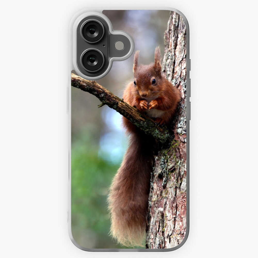 Item preview, iPhone Soft Case designed and sold by davecurrie.