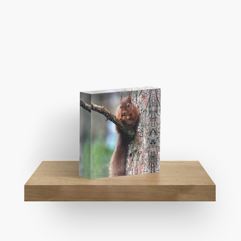 Item preview, Acrylic Block designed and sold by davecurrie.