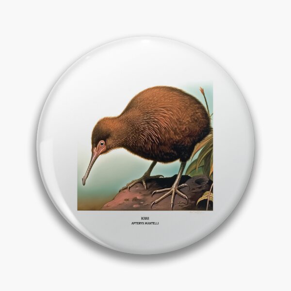 Item preview, Birds of New Zealand - Kiwi designed and sold by randomorder.