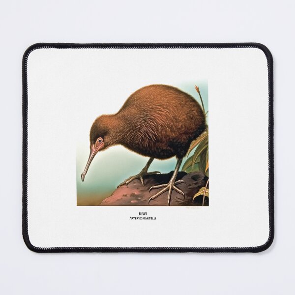 Item preview, Birds of New Zealand - Kiwi designed and sold by randomorder.