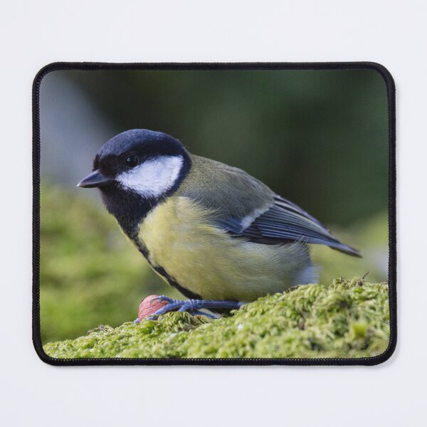 Item preview, Great Tit designed and sold by Dave Currie.
