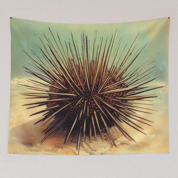 Item preview, Sea urchin designed and sold by Donkey's Salad.