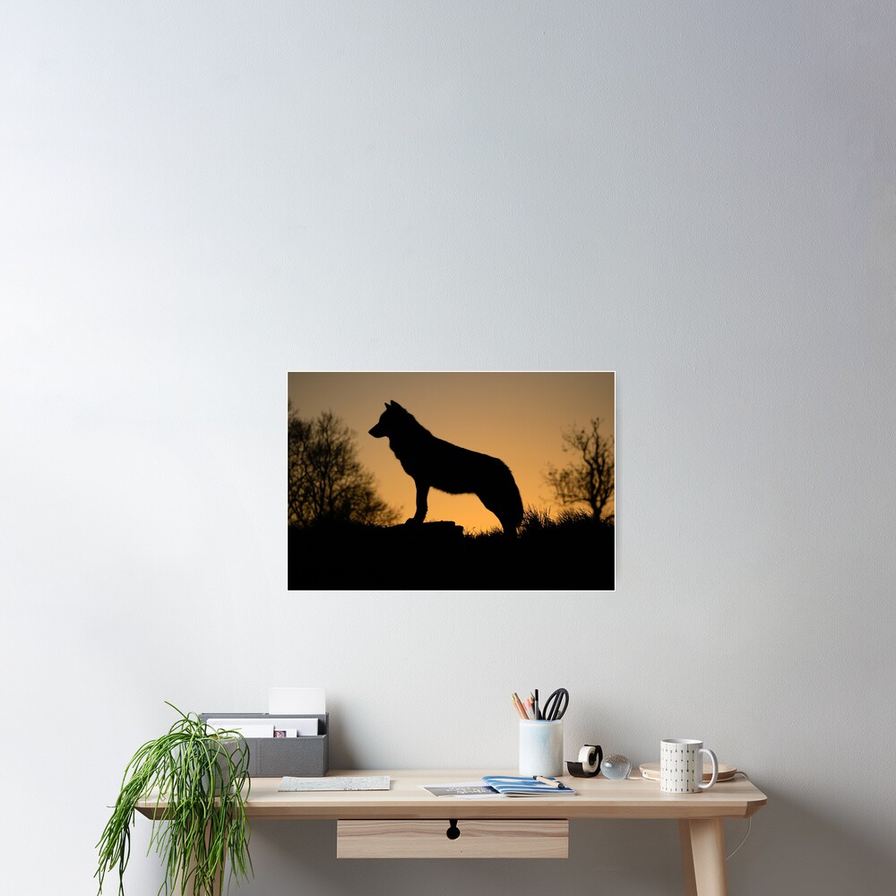 Item preview, Poster designed and sold by davecurrie.