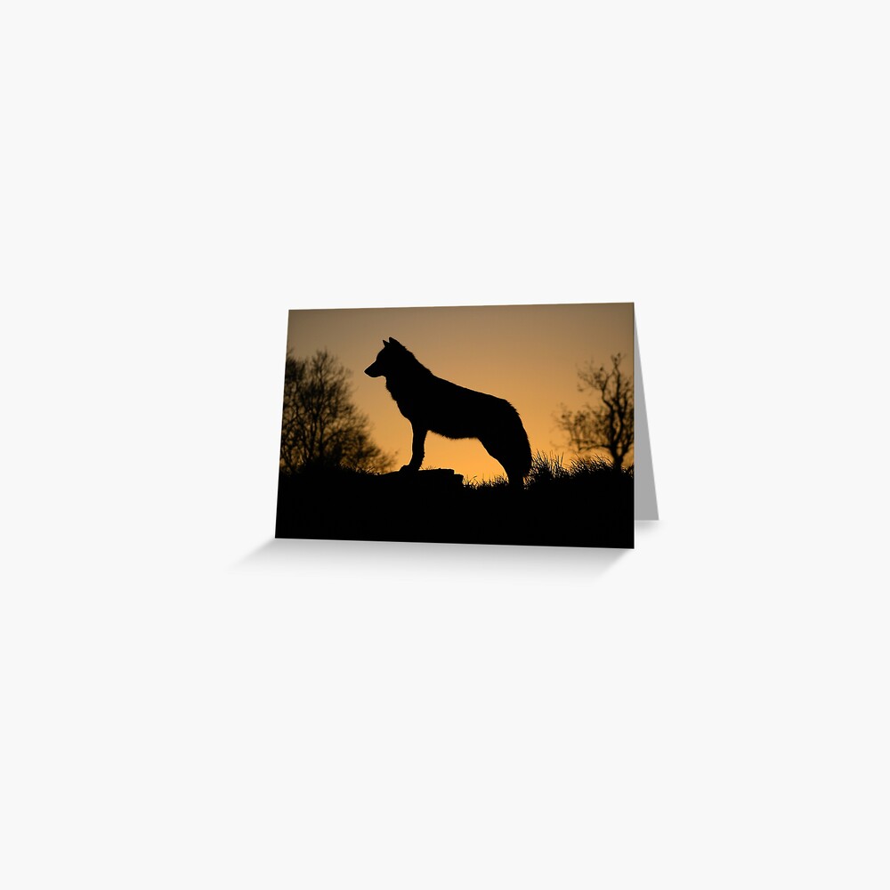 Item preview, Greeting Card designed and sold by davecurrie.