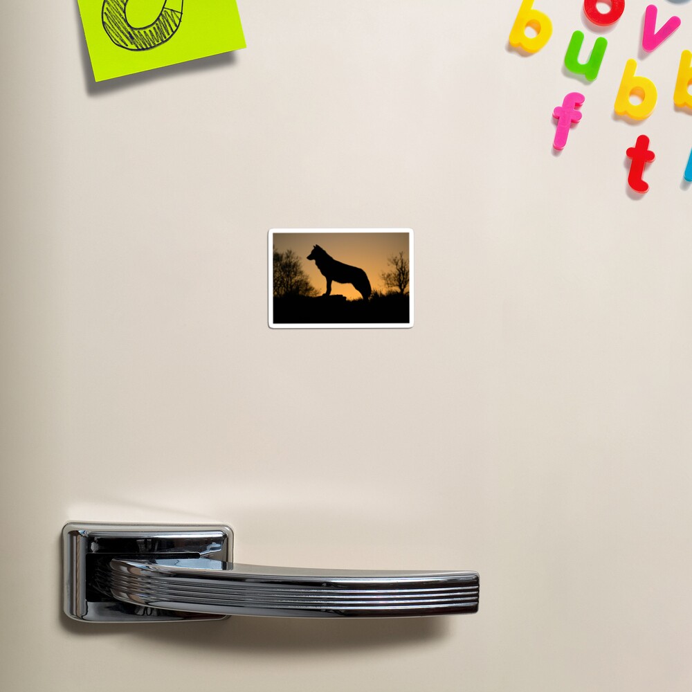 Item preview, Magnet designed and sold by davecurrie.