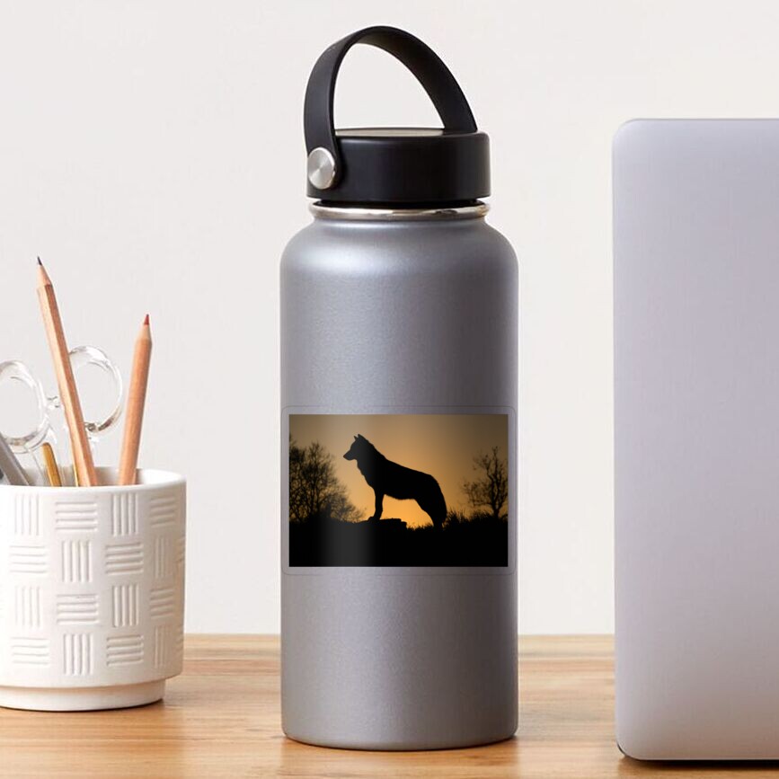 Item preview, Transparent Sticker designed and sold by davecurrie.